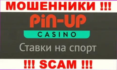 Основная деятельность Пин Ап Казино - это Casino, будьте очень осторожны, работают незаконно