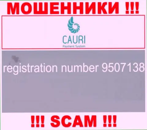 Номер регистрации, который принадлежит противозаконно действующей компании Каури Ком - 9507138