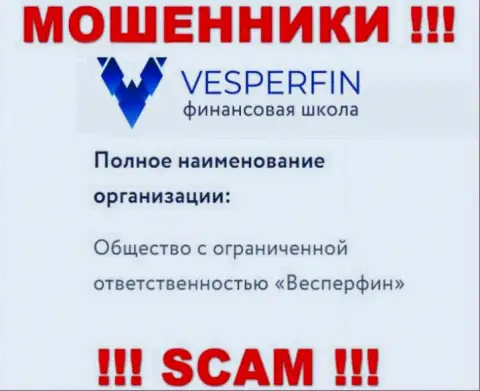 Инфа про юридическое лицо интернет-мошенников VesperFin Com - ООО Весперфин, не спасет Вас от их загребущих рук