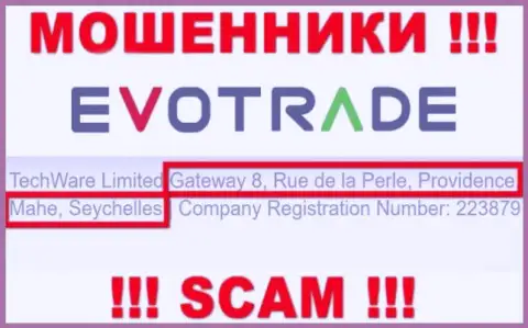 Из TechWare Limited забрать обратно депозиты не получится - данные интернет-ворюги сидят в офшоре: Gateway 8, Rue de la Perle, Providence, Mahe, Seychelles