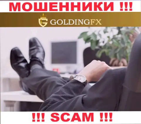 Ни имен, ни фотографий тех, кто руководит конторой Goldingfx InvestLIMITED во всемирной internet сети не отыскать