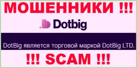 DotBig Com - юридическое лицо интернет мошенников контора DotBig LTD