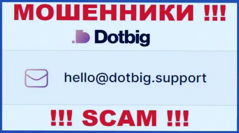 Не торопитесь переписываться с DotBig Com, даже через их электронную почту - это наглые воры !!!