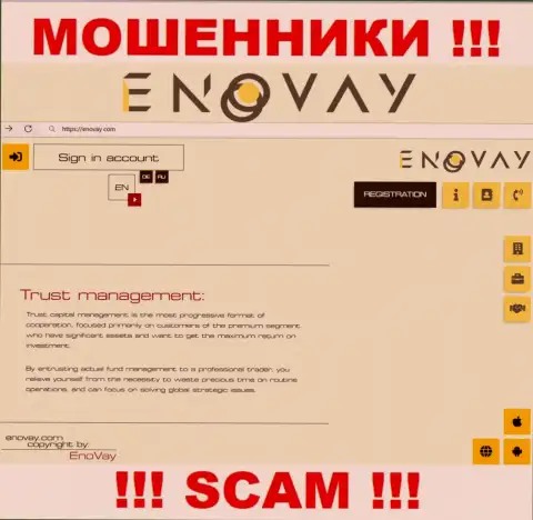 Внешний вид официального сайта мошеннической организации ЭноВей
